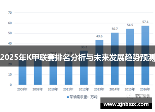 2025年K甲联赛排名分析与未来发展趋势预测