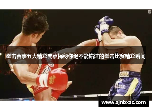 拳击赛事五大精彩亮点揭秘你绝不能错过的拳击比赛精彩瞬间