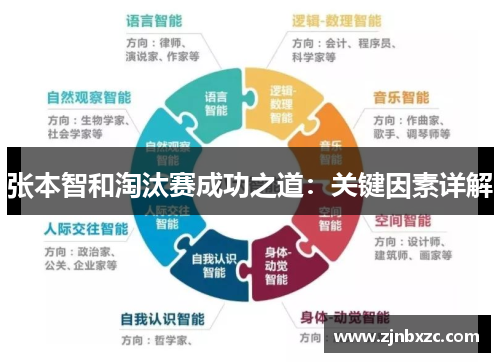 张本智和淘汰赛成功之道：关键因素详解