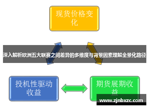 深入解析欧洲五大联赛之间差异的多维度与背景因素理解全景化路径 深入解析欧洲五大联赛之间差异的多维度与背景因素理解全景化路径
