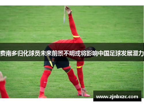 费南多归化球员未来前景不明或将影响中国足球发展潜力
